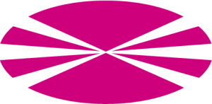 logo-udc